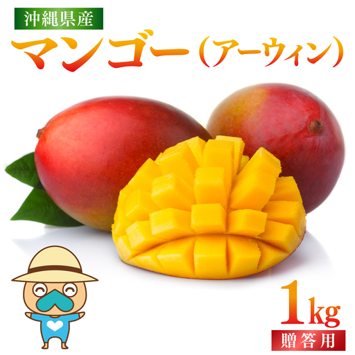 [先行予約]宮平農園のマンゴー1kg[アーウィン・贈答用] I マンゴー まんごー トロピカルフルーツ フルーツ ギフト限定 アーウィン 1000g 1kg 沖縄県 南城市 ふるさと納税 合同会社宮平農園