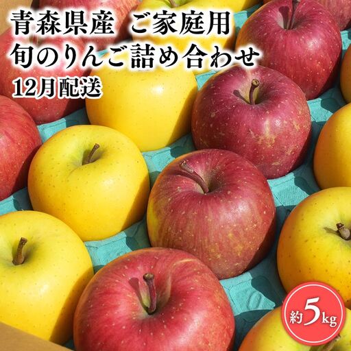 りんご 家庭用 旬の詰め合わせ5kg [hi-0054-005-12]