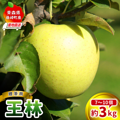 ＜産地直送＞ 王林 贈答用 特選クラス 約3kg (7〜10個) 【前田農園】 青森りんご F41-0076