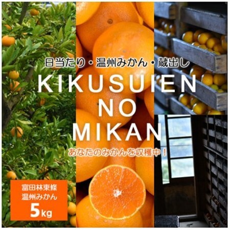 温州みかん 富田林市東條産5kg [菊水園] 甘い美味しい みずみずしいと人気の柑橘です。