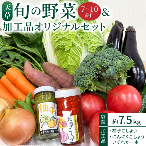 S047-001A_天草旬の野菜(7〜10品目)&加工品 オリジナルセット / 野菜 柚子こしょう にんにく こしょう