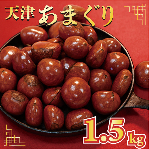 天津甘栗 1.5kg 京都 【甘栗】