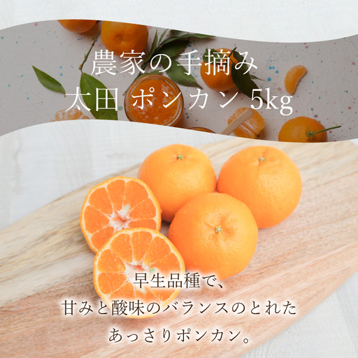 S040-005A_農家の手摘み 太田 ポンカン 5kg〈先行受付〉/ ポンカン ぽんかん 柑橘 みかん フルーツ