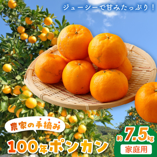 S040-009A_農家の手摘み100年ポンカン 約7.5kg 家庭用[先行受付]