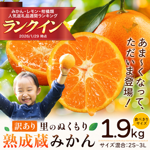 ご家庭用 熟成みかん 1.9kg  ｜みかん  徳島