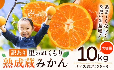 ご家庭用 熟成みかん 10kg ｜みかん 