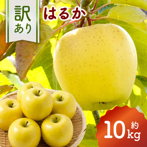 訳あり りんご(はるか) 約10kg 037-0779x1