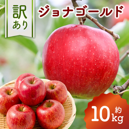 訳あり りんご (ジョナゴールド) 約10kg 【2026年10月中旬～下旬発送予定】 037-0745x1