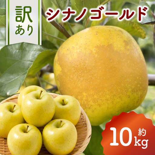 訳あり りんご (シナノゴールド) 約10kg 037-0798x1