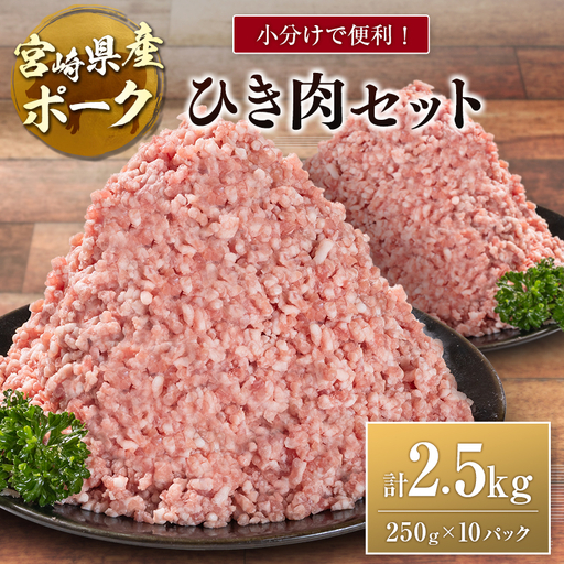 宮崎県産ポーク ひき肉 セット 計2.5kg（250g×10パック）国産 豚肉 ミンチ 挽き肉 小分け