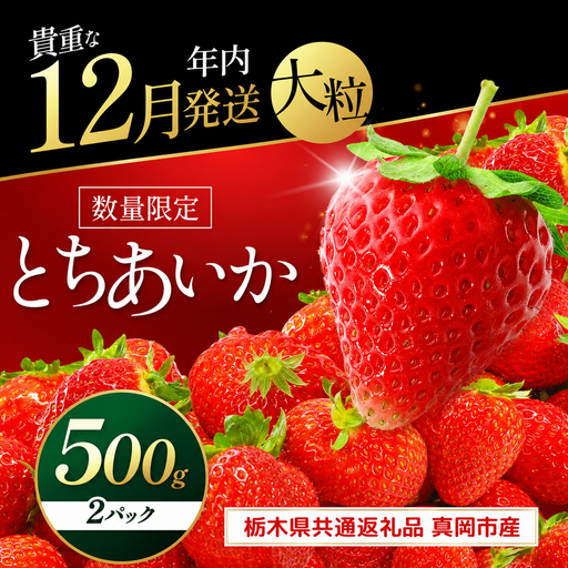 いちご 年内発送 初摘みとちあいか 500g以上【2026年12月先行予約】 | 苺 イチゴ 栃木県共通返礼品 真岡市産 栃木県矢板市