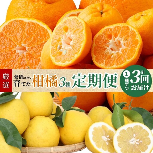 S040-013A_【定期便 3回】厳選！天草 下浦地区の農家が愛情込めて育てた柑橘3種〈先行予約〉 / ポンカン 不知火 晩柑 柑橘 みかん フルーツ