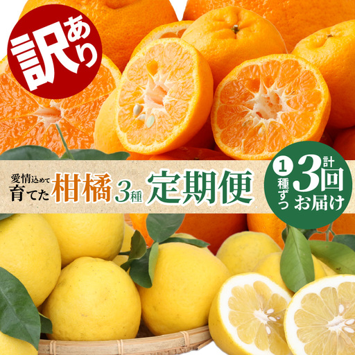 S040-014A_[訳あり 定期便3回]天草 下浦地区の農家が愛情込めて育てた柑橘3種[先行予約] / ポンカン 不知火 晩柑 柑橘 みかん フルーツ