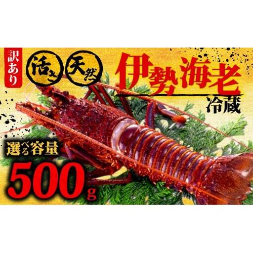 【 伊勢海老 】 伊勢海老500g