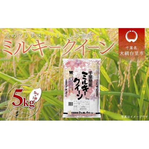 令和7年産 千葉県産「ミルキークイーン」5kg / お米 5キロ 千葉県産 大網白里市 ミルキークイーン 米 精米 こめ