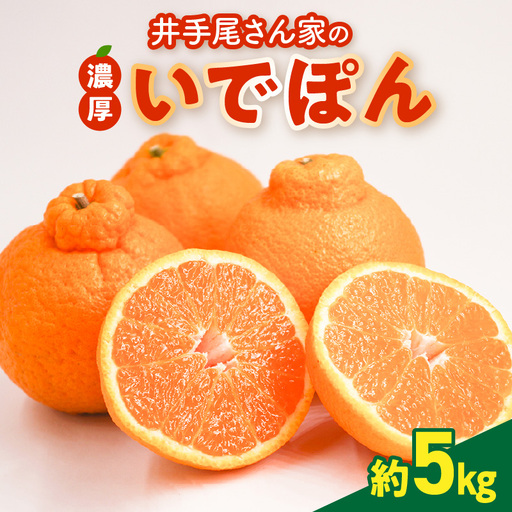 S086-002A_井手尾さん家の濃厚いでぽん 不知火 約5kg 柑橘[先行予約] / 不知火 柑橘 みかん フルーツ