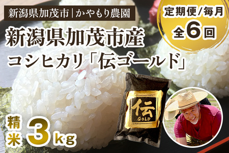 【令和7年産】【定期便6回毎月お届け】新潟産コシヒカリ「伝ゴールド」白米真空パック 精米3kg（1.5kg×2）