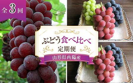 [令和9年産先行予約] [定期便3回] ぶどう食べ比べ 定期便 [令和9年7月〜発送] 『漆山果樹園』 葡萄 ぶどう ブドウ 果物 フルーツ デザート 山形県 南陽市 [1179-R9]