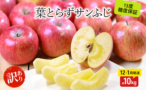 りんご[12月・1月発送]蜜入り 糖度13度以上 訳あり 家庭用 葉とらず サンふじ 約10kg[青森りんご 果物 フルーツ デザート 食後 おやつ 産地直送]