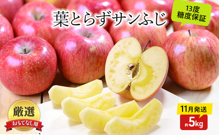 りんご[11月発送]蜜入り 糖度13度以上 おもてなし品 葉とらず サンふじ 約5kg[青森りんご 果物 フルーツ 産地直送 糖度測定 褐変 チェック 贈り物 年末 挨拶 お土産]
