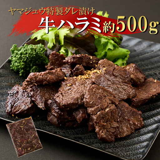 ヤマジュウの特製タレ漬け！牛ハラミ肉５００ｇ_yj061