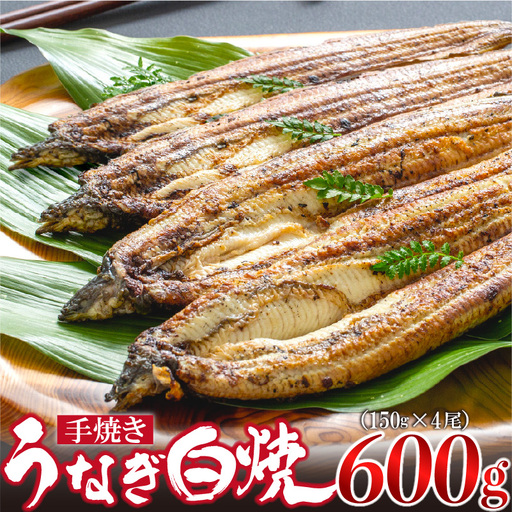 九州産手焼きうなぎ白焼き 4尾（約600g） [M829-1]