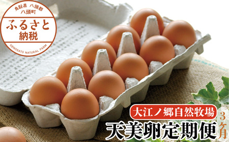 [3か月定期便]平飼い天美卵30個[大江ノ郷自然牧場より直送]