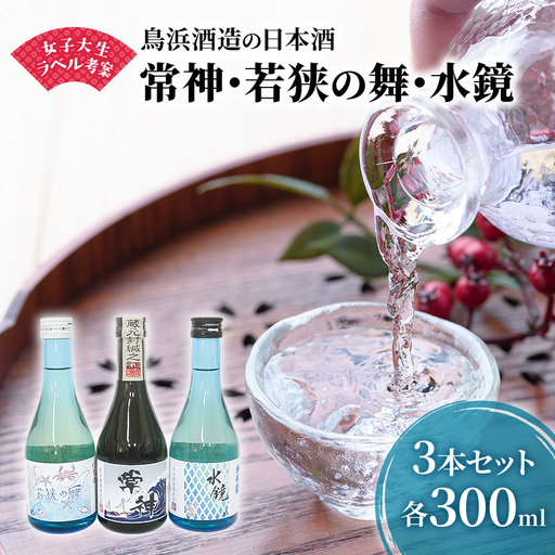 日本酒 300ml 3本 日本酒