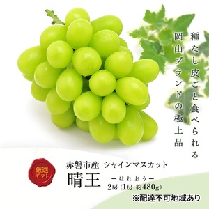 ぶどう 2026年 先行予約 シャインマスカット 晴王 2房  1房約480g 化粧箱入り  岡山県 赤磐市産 果物 フルーツ 葡萄 ブドウ