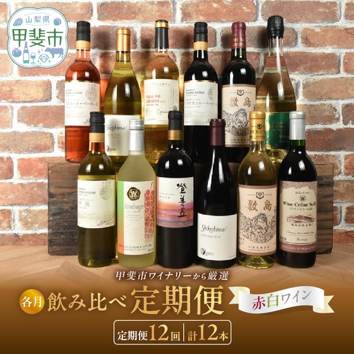 甲斐市産 赤白ワイン 12本 定期便 ワイン 山梨ワイン 山梨県 甲斐市 AD-315