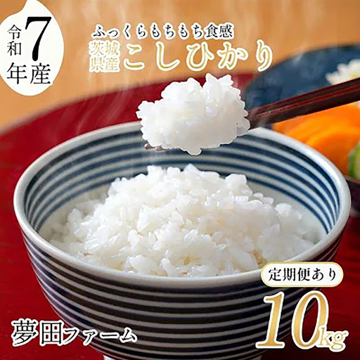 米 3ヵ月定期便 令和7年産コシヒカリ10kg コシヒカリ 米