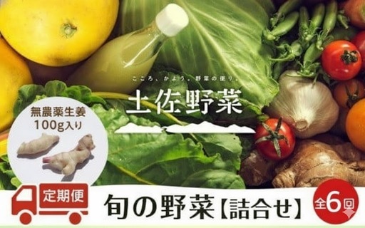 [生姜] 土佐野菜セット 無農薬生姜100g付き 6回定期便