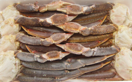 生ずわい蟹 3kg（5Lサイズ 6～8肩）