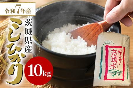 【令和7年産】石岡市産コシヒカリ 10kg 精米 お米 米 白米 茨城県 石岡市 B05-008