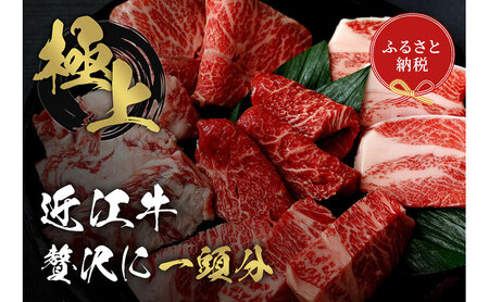 [和牛セレブ]近江牛 1頭分買い 12分割配送 頒布会 食べ比べ 希少部位 すき焼き しゃぶしゃぶ 焼肉 ステーキ 黒毛和牛 和牛 国産牛 国産牛肉 ブランド牛 日本三大和牛 牛肉 お肉 肉 ギフト 贈答 滋賀 滋賀県 定期便