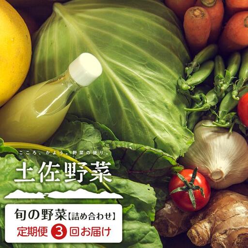 旬の土佐野菜セット 旬の詰め合わせ小セット 3回定期便 野菜