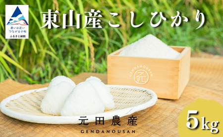 【スピード発送】 コシヒカリ 精米 5kg 令和7年産 コシヒカリ こしひかり 元田農産