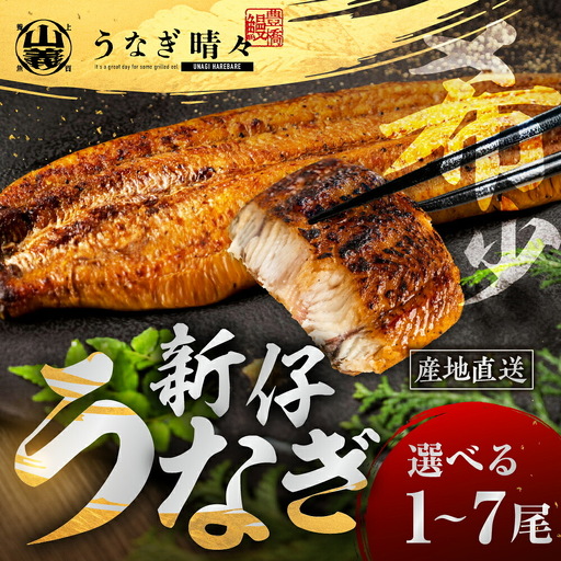 うなぎ晴々 蒲焼2尾 定期便12回 うなぎ