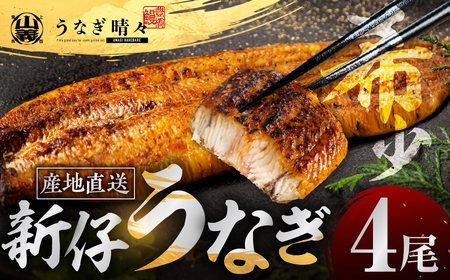 うなぎ晴々 蒲焼4尾 定期便6回 うなぎ