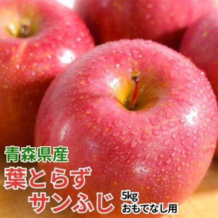 【12月出荷予定】平均糖度13度以上! 葉とらずサンふじ 約5kg おもてなし用【配送不可地域：離島・沖縄県】【1668000】