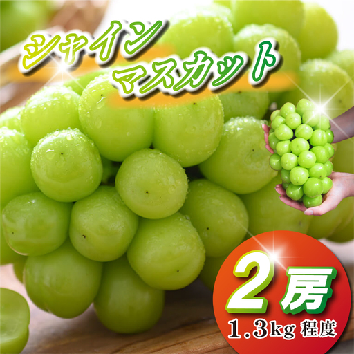 【2027年発送】シャインマスカット 2kg程度（3～4房) ぶどう 