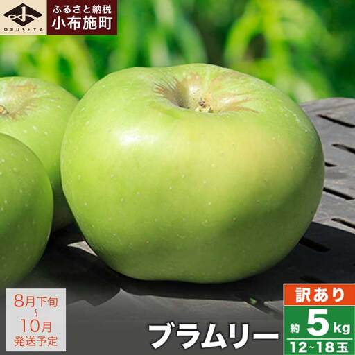 [訳あり] クッキングアップル ブラムリー 約5kg 12〜18玉 [小布施屋] 傷 キズ 不揃い 規格外 家庭用 令和8年産 [2026年8月下旬〜10月発送] [A-47]