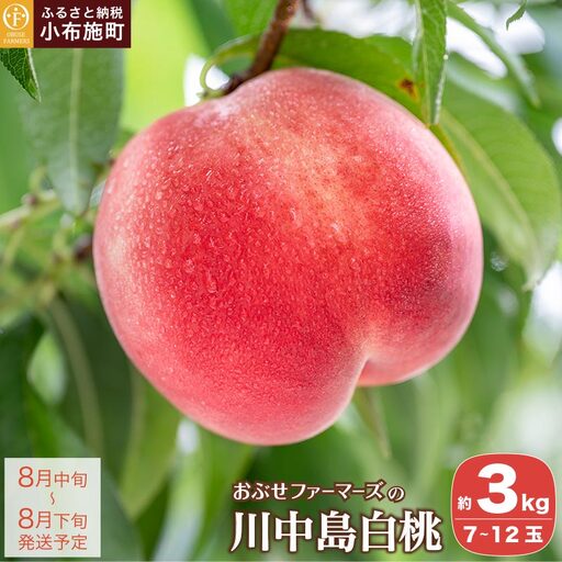 先行受付 川中島白桃 約3kg 7〜12玉 [おぶせファーマーズ]桃 もも モモ フルーツ 令和8年産[2026年8月中旬〜下旬発送][F-19]