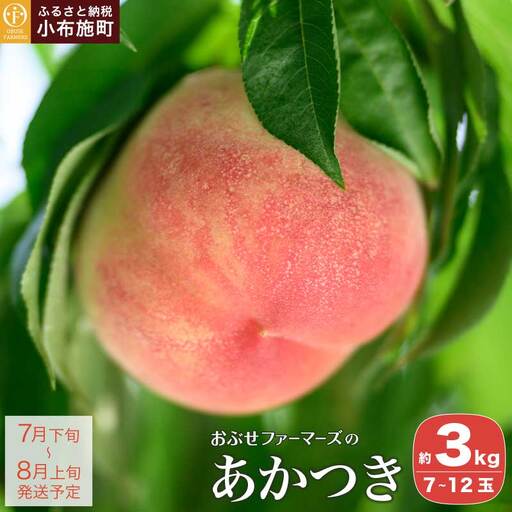あかつき 約3kg 7～12玉 ［おぶせファーマーズ］桃 もも モモ フルーツ 果物 クール便 冷蔵便 長野県産 信州産  令和8年産【2026年7月下旬～8月上旬発送】［F-16］