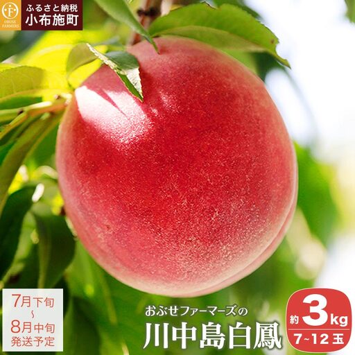川中島白鳳 約3kg 7〜12玉 [おぶせファーマーズ][2026年7月下旬〜8月中旬発送]果物 フルーツ 桃 もも モモ クール便 冷蔵便 長野県産 信州産 令和8年産[F-14]