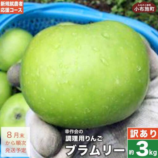 [訳あり] ブラムリー 約3kg [新規就農者応援コース 幸作会]長野県産 令和8年産[2026年8月末から順次発送] [KH-52]