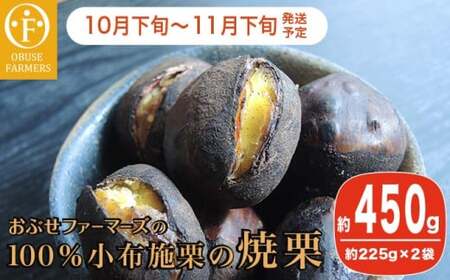 100%小布施栗の焼栗 約450g [おぶせファーマーズ] 果物 フルーツ 栗 くり 焼き栗 長野県産 信州産 令和8年産[2026年10月下旬〜11月下旬発送] [F-36]