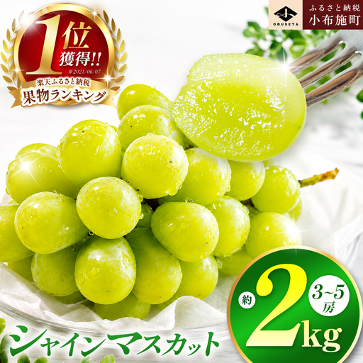 シャインマスカット 約2kg 3〜5房 令和8年産 2026年9月20日頃〜11月頭にかけて順次発送[小布施屋][B-4]