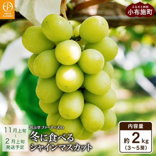 冬に食べるシャインマスカット 約2kg 3～5房［ おぶせファーマーズ ］ぶどう フルーツ 果物 【2026年11月上旬～2027年2月上旬発送】［FC-1］