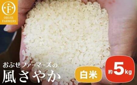風さやか 白米  約5kg ［ おぶせファーマーズ ］ お米 コメ おこめ ご飯 精米 長野県産  ［FK-17］